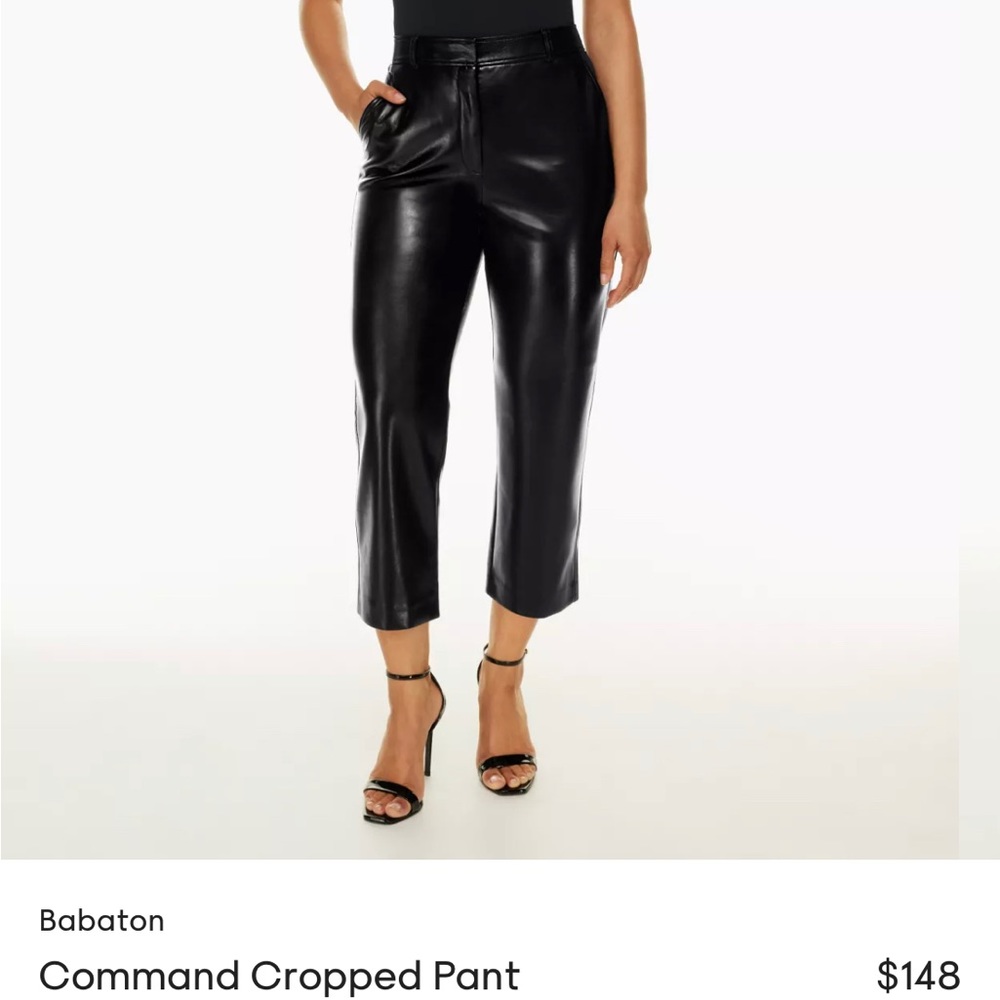 Aritzia Babaton Command Cropped Pants